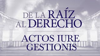 De la raíz al derecho Actos iure gestionis [upl. by Anal83]