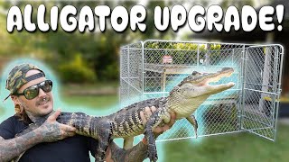 GATOR PIT REBUILD SO MUCH BETTER [upl. by Highams]