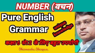 NumberSingularPlural numberवचनएकवचन बहुवचनEnglish Grammar [upl. by Keslie78]