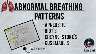 Abnormal Breathing Patterns  Respiratory Physiology [upl. by Airdnoed]