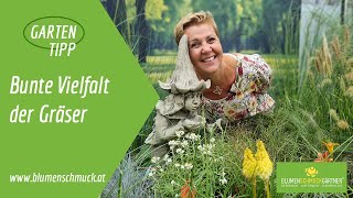 Bunte Vielfalt der Gräser  Gartentipp [upl. by Noyk19]