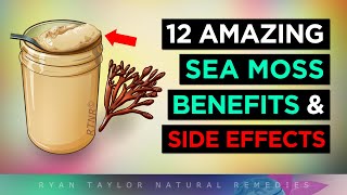 Sea Moss Gel 12 Amazing Health Benefits amp Side Effects [upl. by Eiryk247]