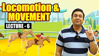 Locomotion and Movement l Lecture 6 l Biology l NEET [upl. by Oirottiv]