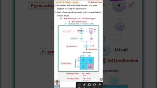 Monohybrid Cross  Genetics class 12 [upl. by Iden]