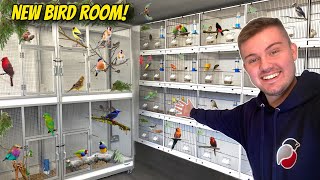 My AMAZING NEW Bird Breeding Room [upl. by Shornick]