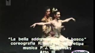 Sleeping Beauty Carla Fracci Rudolf Nureyev [upl. by Brietta553]