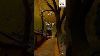 The Beauty of Surah Taha  Raad Al Kurdis VoiceSurahTahaRaadAlKurdiRecitationIslamicRecitation [upl. by Abihsat]