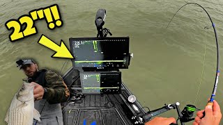 Livescope is INSANE on this MASSIVE SCREEN Fall Fishing [upl. by Yllah]