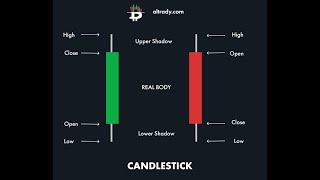 Candlestick Basics [upl. by Neelhtakyram979]