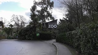 Paignton Zoo February 2019 [upl. by Ruff41]