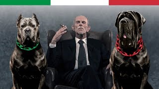 THE 10 ITALIAN DOG BREEDS [upl. by Cletis]