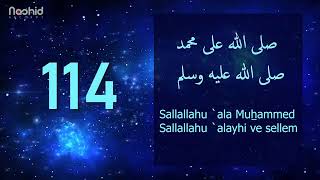 1000 Salavat  SALLALLAHU ALA MUHAMMED SALLALLAHU ALAYHI VE SELLEM [upl. by Araed153]