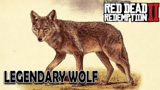 How to Kill The Legendary Wolf in Cotorra Springs  Red Dead Redemption 2 [upl. by Ydorb]