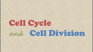 Cell Cycle and Cell Division [upl. by Kalam]