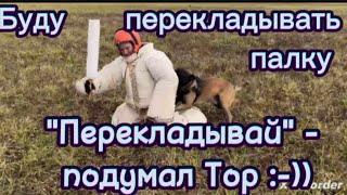 От ударов палкой собака уходит за спину нападающего [upl. by Ferren94]