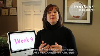 9 Weeks Pregnant  Your 9th Week Of Pregnancy [upl. by Bethel300]