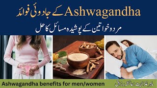 Ashwagandha Benefits For MenWomen Ashwagandha Ke Fayde Dietitian Ayesha Razzaq [upl. by Plerre]