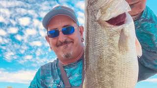 Isleta lakes New Mexico largemouth Bass Fishing it’s a Giant [upl. by Bevis]