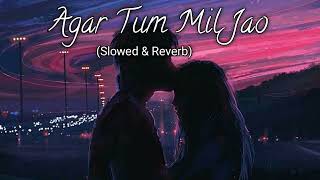 🥰Agar Tum Mil Jao Jamana Chod Denge💞Slowed And Reverb😓Shreya Ghoshal  Hindi Lofi Music Viral Hub [upl. by Annuahs304]