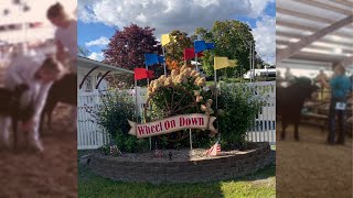 Thursday Livestock Sale  Columbiana County Fair 2024 [upl. by Ling]