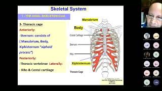 Lecture 2 Skeletal system july 2024 [upl. by Harry]