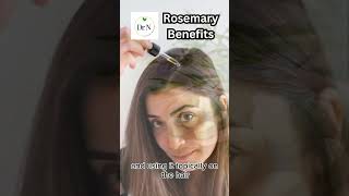 The Best Rosemary Haircare Hack [upl. by Attener]