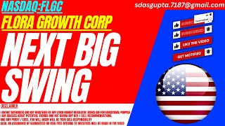 NEXT BIG SWING  FLGC STOCK ANALYSIS  FLORA GROWTH CORP STOCK [upl. by Irmina]