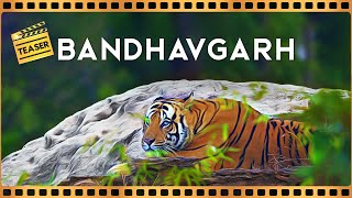 Teaser  Bandhavgarh Tiger Reserve  4K Video Hindi  हिन्दी [upl. by Otreblide]