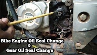 Bike Engine Oil Seal change amp Gear Oil Seal change Solve Oil Leakage issue of Motorcycle [upl. by Nessaj718]