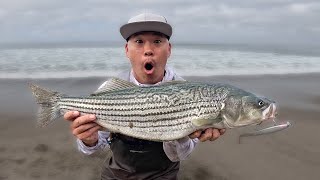 My Okuma Rockaway SP FIRST TEST SoCal Surf Fishing Striper [upl. by Cassella]