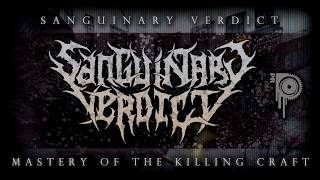 Sanguinary Verdict  The Mastery Of The Killing Craft  Promo Track 2017 [upl. by Rilda]