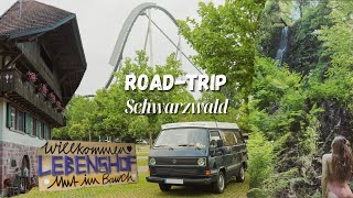 ROAD TRIP🚐 durch den SCHWARZWALD🌳 EUROPAPARK🎢 LEBENSHOF MutimBauch🐷 Auszeit gegönnt [upl. by Annamaria178]