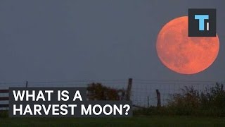 Here’s what a harvest moon actually is [upl. by Merci]