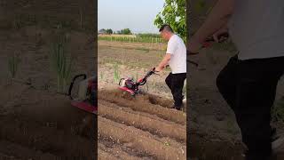 tiller petrol microtiller hoeing and trenching machine small gasoline microtilleryoutubeshorts [upl. by Rogozen]