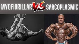 Myofibrillar hypertrophy or Sarcoplasmic hypertrophy which is better [upl. by Nyrahs15]