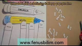 6 Sınıf Denetleyici ve düzenleyici sistem interaktif materyal fenusbilim [upl. by Edyaw618]