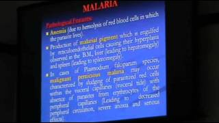 DrSahar  Parasitic Infections 3  Leishmaniasis [upl. by Mohsen]