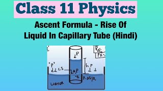 Ascent Formula  Rise Of Liquid In Capillary Tube Hindi  Class 11 Physics [upl. by Ynafets]