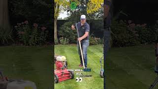 How to Effectively Remove Thatch from Your Lawn [upl. by Enitsua]