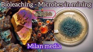 Bioleaching  Microbial leaching  Microbes in mining  copper  gold  uranium Tamil  Milan media [upl. by Thetisa785]