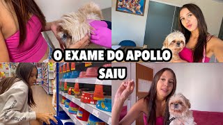 LEVEI O APOLLO NO VETERINÁRIO🥹 [upl. by Deragon]