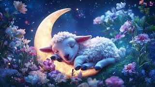 Deep Sleep And Relax 🐨🍃 Soothing Music Heals The Heart And Calms The Nervous System [upl. by Eanar]