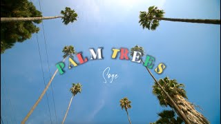 Soye  Palm Trees Visualizer [upl. by Anilem372]