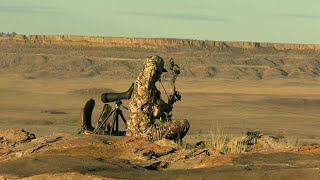 South Dakota Public Land GIANTS [upl. by Andonis]