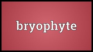 Bryophyte Meaning [upl. by Mychal]