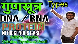 Chromosome DNARNA  PROTEIN  NITROGENOUS BASE  Adinine  Guanine  Cytosine Thymine  Urocil [upl. by Ludeman857]