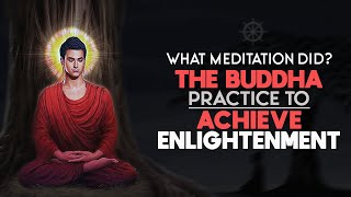 What Meditation Did the Buddha Practice to Achieve Enlightenment [upl. by Dorolisa866]