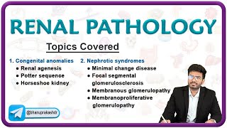 🌟 Exploring Renal Pathology Congenital Anomalies amp Nephrotic Syndromes 🌊 [upl. by Eiramave]