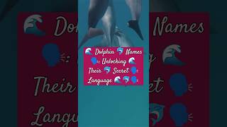 Why Dolphins Have Names and Other Fascinating Facts dolphins marinelife [upl. by Gerard]