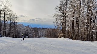 Skiing in Japan  Nikko Edelweiss Ski Resort [upl. by Einiar]